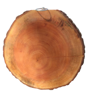 ৭ ইঞ্চি চওড়া এবং ১ ইঞ্চি উচ্চতা