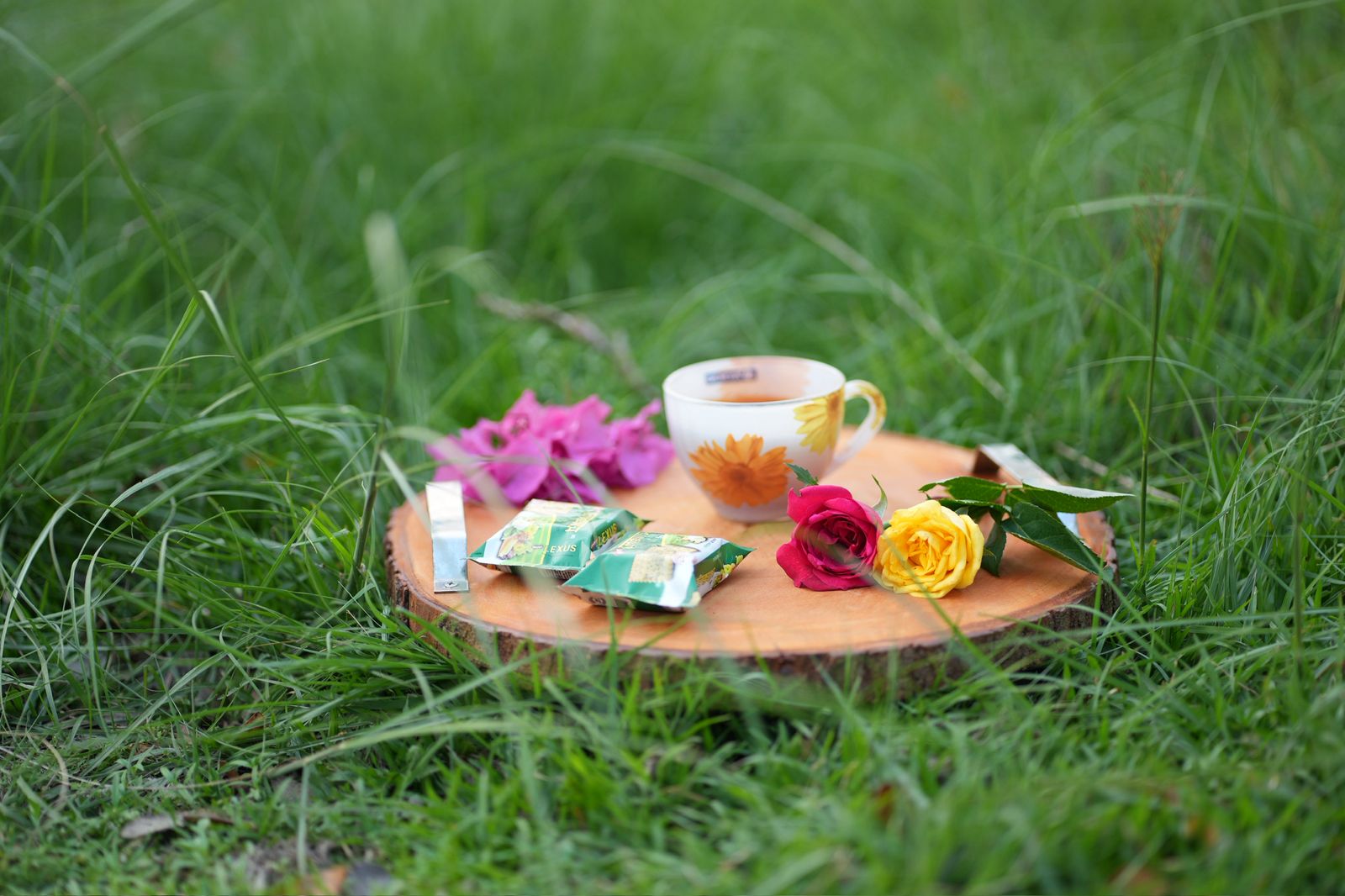 WhatsApp-Image-2025-05-08-at-6.02.39-PM-1